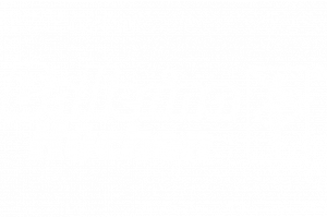 Logo von Ballerina Küchen in Weiß